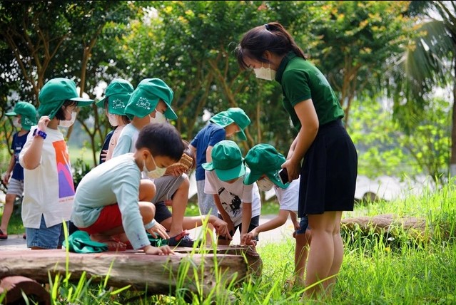 Tiềm năng đầu tư trong Khu dân cư Nam Hà: Xu hướng và triển vọng