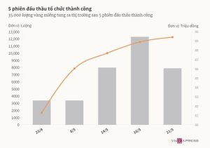 Vàng đấu thầu hút khách