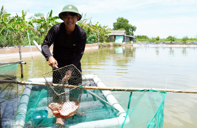 Anh Trần Văn Bì cải tạo ao cá để mở rộng homestay